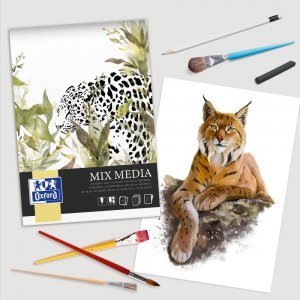 Bloc Desen Oxford Mix Media A4, 25 File, Hartie 225 G/mp, Fsc® Mix70%, Colectia Artistic Bloc Desen Oxford Mix Media A4, 25 File, Hartie 225 G/mp, Fsc® Mix70%, Colectia Artistic