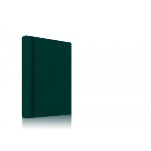Agenda A5 Nedatata 224 File Culoare Verde Agenda A5 Nedatata 224 File Culoare Verde
