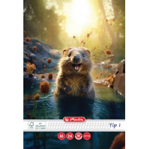 Caiet A5, 24 File, 80g/mp, Hartie Fsc Mix, Tip I, Colturi Rotunjite, Motiv Funny Wildlife