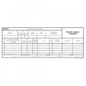 Bon de Consum Colectiv 1/3 A4, 100 File/Carnet - Formulare Tipizate Nepersonalizate Bon de Consum Colectiv 1/3 A4, 100 File/Carnet - Formulare Tipizate Nepersonalizate