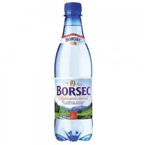 Apa Minerala Borsec 0.5 L, 12 Buc/bax Apa Minerala Borsec 0.5 L, 12 Buc/bax