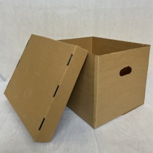 Container Arhivare Pentru 4 Bibliorafturi, 345x245x302 Mm Container Arhivare Pentru 4 Bibliorafturi, 345x245x302 Mm