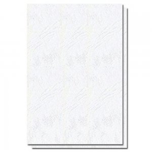 Coperti Indosariere EVOffice din Carton Tip Imitatie Piele A3, Culoare Alb, 250 g/m², 100 Coli/Top - Accesorii Indosariat Coperti Indosariere EVOffice din Carton Tip Imitatie Piele A3, Culoare Alb, 250 g/m², 100 Coli/Top - Accesorii Indosariat