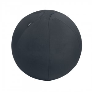 Minge Ergonomica Leitz Ergo, Pentru Sezut Sau Fitness, Cu Functie De Oprire, 55 Cm, Gri-carbune Minge Ergonomica Leitz Ergo, Pentru Sezut Sau Fitness, Cu Functie De Oprire, 55 Cm, Gri-carbune