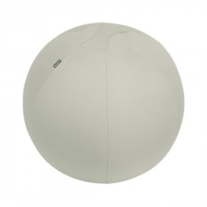 Minge Ergonomica Leitz Ergo, Pentru Sezut Sau Fitness, Cu Functie De Oprire, 65 Cm, Gri-pastel Minge Ergonomica Leitz Ergo, Pentru Sezut Sau Fitness, Cu Functie De Oprire, 65 Cm, Gri-pastel