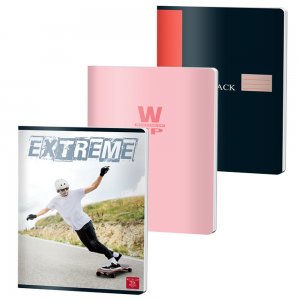 Caiet A4 100 File Aritmetica Color 230g Pigna