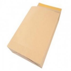 Plic B4 Silicon Burduf 150mm 120g 250*353mm Maro Tip T Gpv