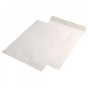 Plic E4 Silicon 100g 280*400mm Alb Tip T 250/c Gpv