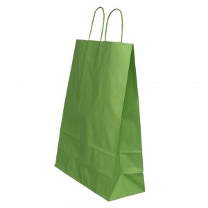 Punga Hartie Maner Rasucit 22 X 10 X 31 Cm Verde/alb Papiroti