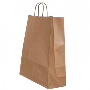 Punga Hartie Maner Rasucit 18 X 8 X 22 Cm Bronz/alb Papiroti Punga Hartie Maner Rasucit 18 X 8 X 22 Cm Bronz/alb Papiroti