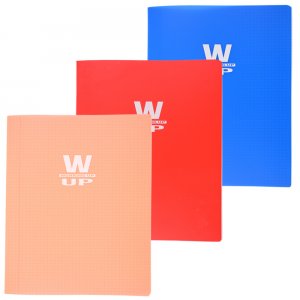 Caiet A4 60 File Aritmetica Coperta Pp 230 Asortate Working Up Pigna