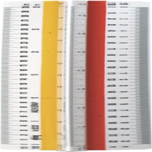 Scarar Arhitect T1 Rotring Scarar Arhitect T1 Rotring