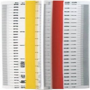 Scarar Scolar T2 Rotring Scarar Scolar T2 Rotring