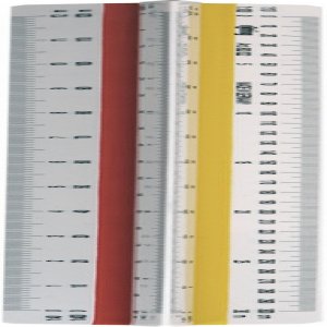 Scarar Arhitect T4 Rotring Scarar Arhitect T4 Rotring
