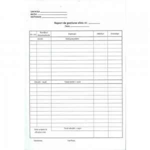 Raport De Gestiune Zilnic Autocopiativ Raport De Gestiune Zilnic Autocopiativ