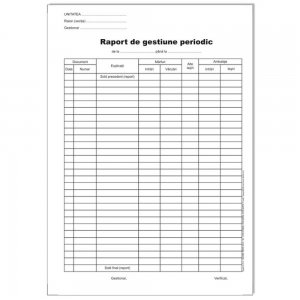 Raport De Gestiune Periodic Autocopiativ Raport De Gestiune Periodic Autocopiativ