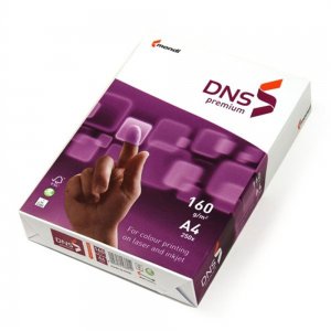 Carton Copiator A4 Alb 160g 250/top Dns