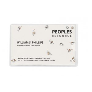 Buzunar Autoadeziv Pt Carti De Vizita, Acces Lateral, 60 X 95mm, 10/set, Probeco