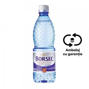 Apa Plata Borsec 0.5 L, 12 Buc/bax Apa Plata Borsec 0.5 L, 12 Buc/bax