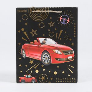 Punga Cadou L 26x32x10 Cm, Design Negru Cu Masini Punga Cadou L 26x32x10 Cm, Design Negru Cu Masini