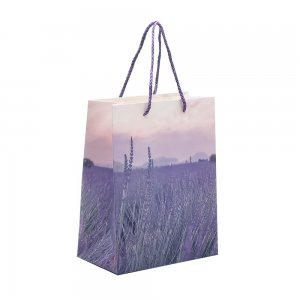 Punga Cadou 18x23x10 Cm, Design Levantica Punga Cadou 18x23x10 Cm, Design Levantica