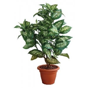 Planta Din Plastic Si Matase, Inaltime 75cm, Vepa Bins Dieffenbachia Planta Din Plastic Si Matase, Inaltime 75cm, Vepa Bins Dieffenbachia