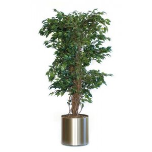 Ficus Din Plastic Si Matase, Inaltime 210cm, Vepa Bins Liana - Varicoloured Ficus Din Plastic Si Matase, Inaltime 210cm, Vepa Bins Liana - Varicoloured